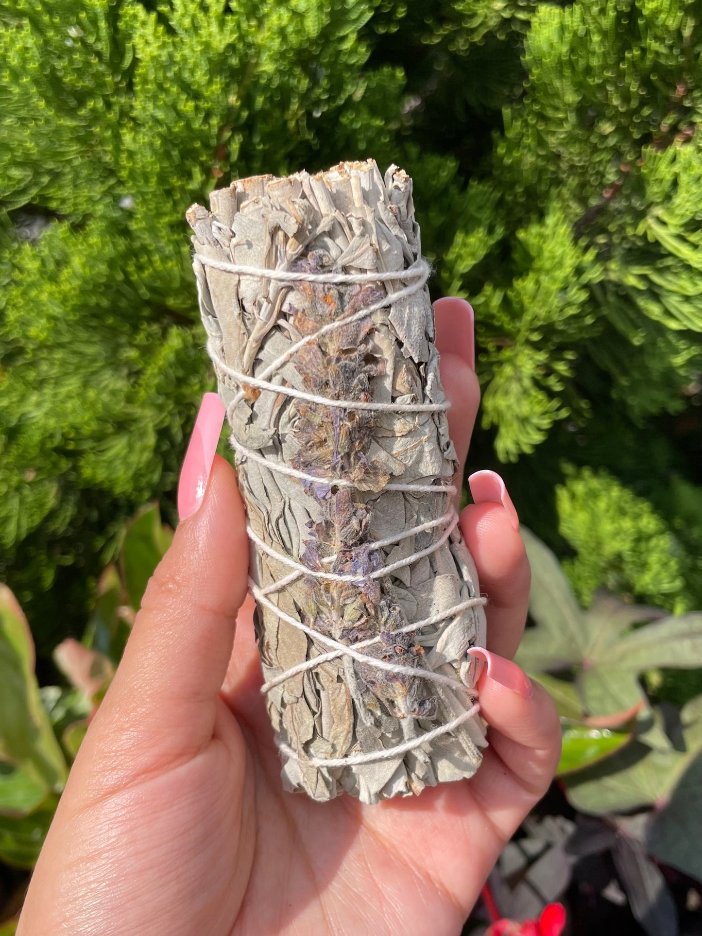 White sage & lavender